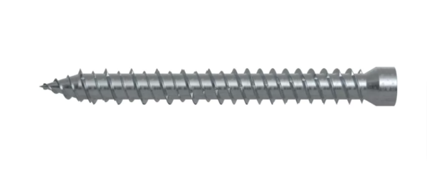 Vite in acciaio per muro, testa cilindrica con impronta TORX - FFSZ 7,5 x 112 T30 100